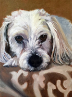 Lorrie Herman - Dog Portrait "Maggie" oil